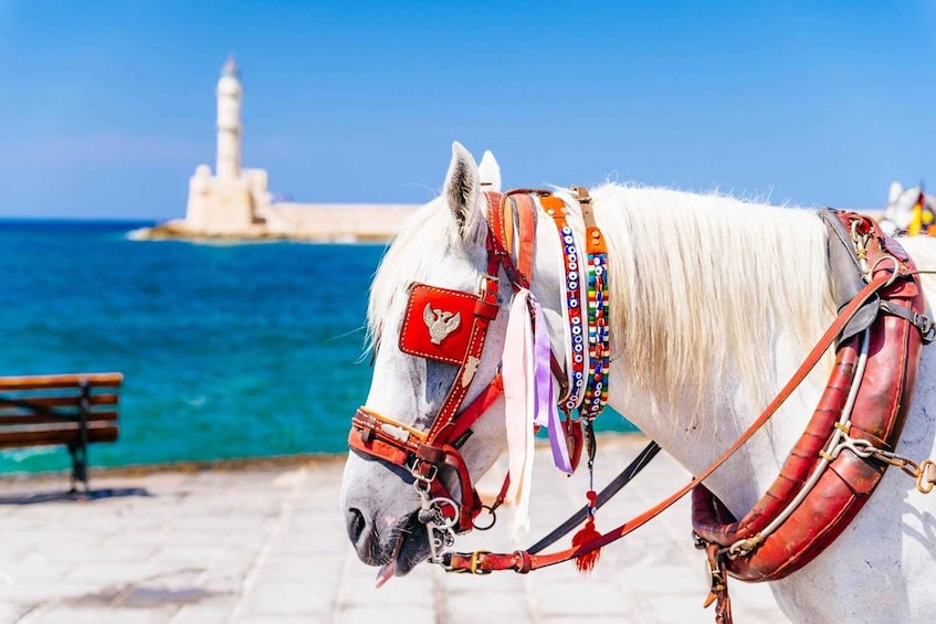 Picture 3 for Activity Heraklion Areas:Rethymno,Chania & Lake Kournas Full-Day Tour