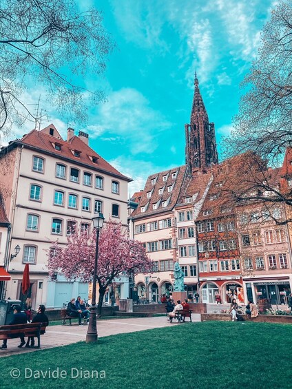 Picture 4 for Activity Strasbourg: Guided Historical Neighborhoods Walking Tour