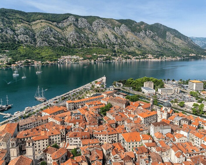 Picture 3 for Activity Private Full - Day Tour: Kotor & Budva from Dubrovnik