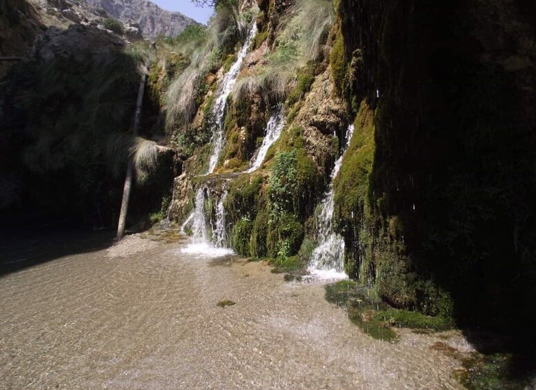 Picture 11 for Activity From Rethymno: River Trekking Trip at Kourtaliotiko Gorge