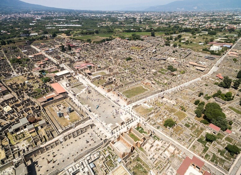 Picture 6 for Activity From Salerno: Vesuvius & Pompeii with audioguide