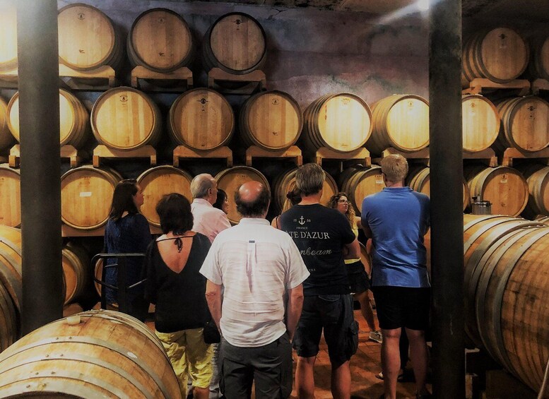 Picture 1 for Activity From Padua: Guided Olive Oil & Wine Tour