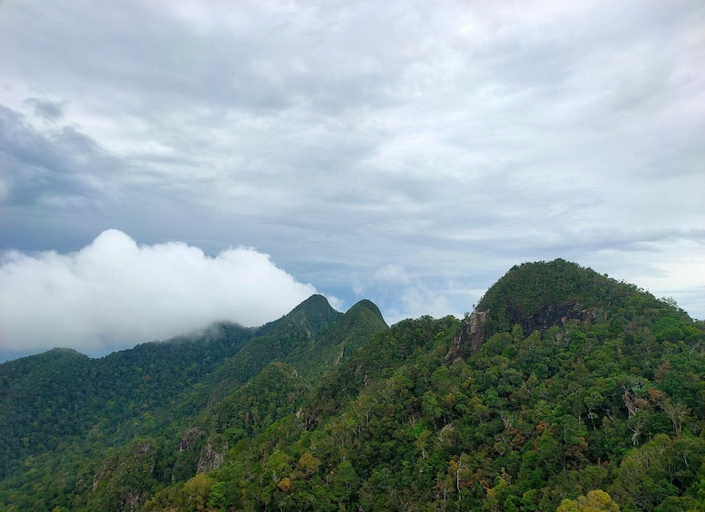 Picture 1 for Activity Langkawi SkyTrail Hiking and Cable Car Experience