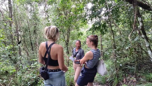 Langkawi SkyTrail Hiking and Cable Car Experience