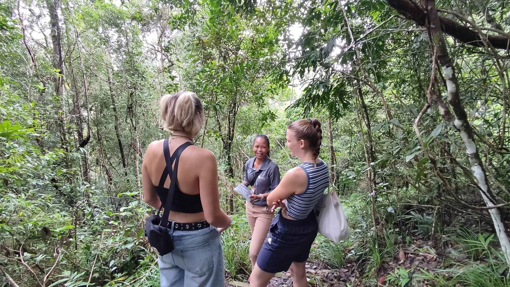 Langkawi SkyTrail Hiking and Cable Car Experience