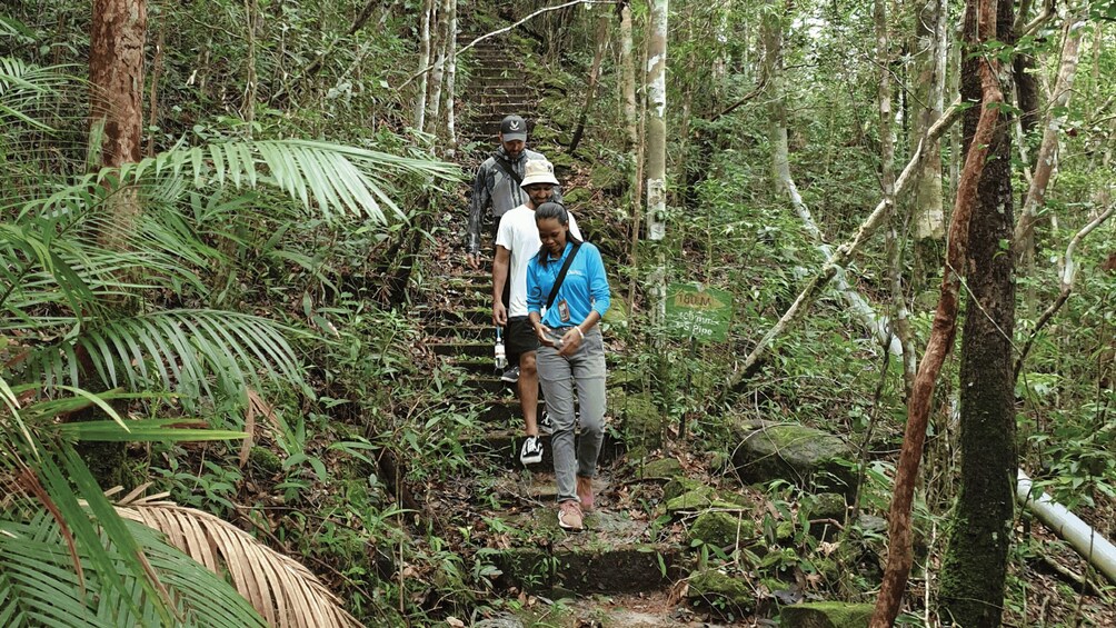 Picture 3 for Activity Langkawi SkyTrail Hiking and Cable Car Experience