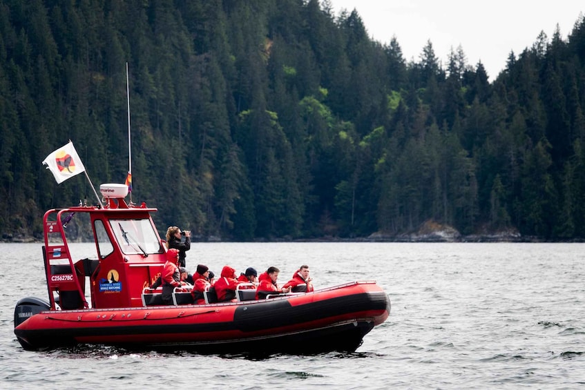 Picture 5 for Activity Campbell River: Whale Watching and Wildlife Viewing Day Tour