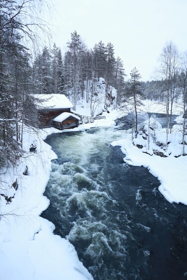 From Ruka: Snowshoeing in Oulanka National Park