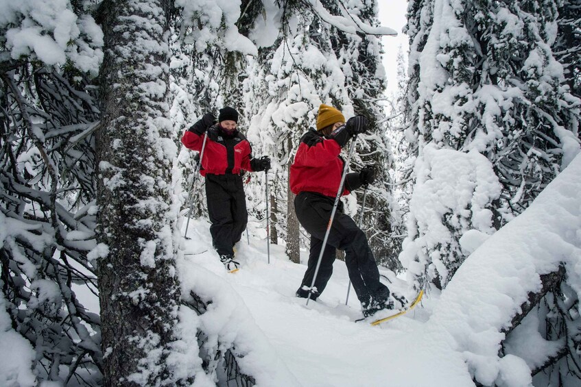 Picture 2 for Activity From Ruka: Snowshoeing in Oulanka National Park