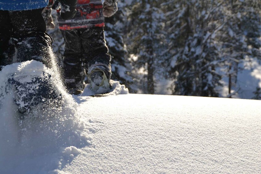 Picture 3 for Activity From Ruka: Snowshoeing in Oulanka National Park