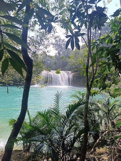 Picture 1 for Activity Palenque Archeological zone and Roberto Barrios Waterfalls