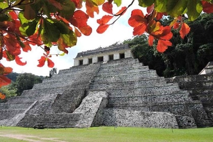 Zone archéologique de Palenque et chutes d’eau Roberto Barrios