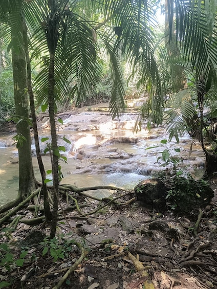 Picture 4 for Activity Palenque Archeological zone and Roberto Barrios Waterfalls