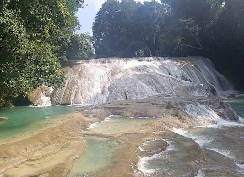 Picture 2 for Activity Palenque Archeological zone and Roberto Barrios Waterfalls