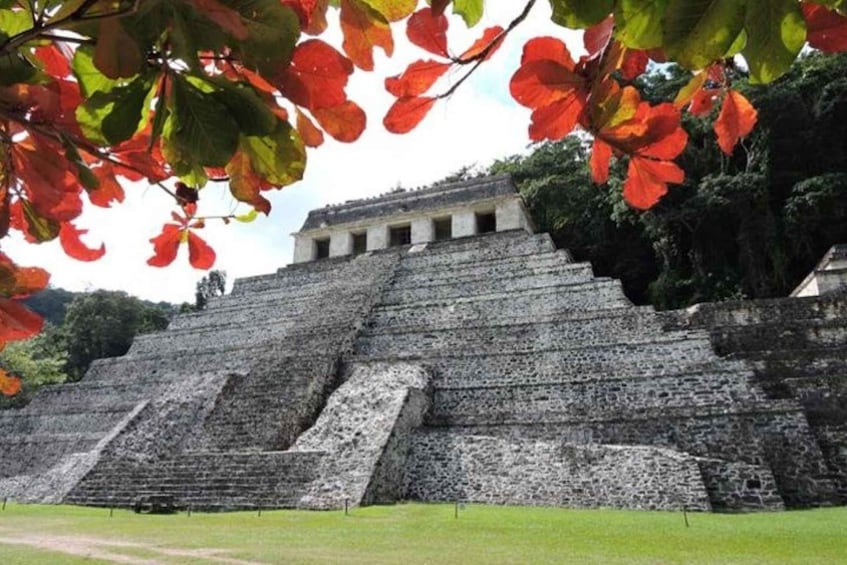 Palenque Archeological zone and Roberto Barrios Waterfalls