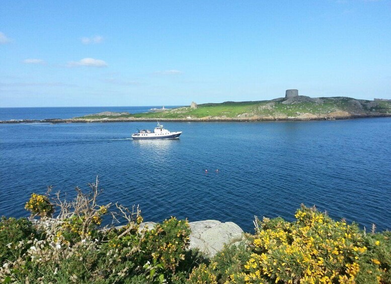 Picture 2 for Activity Dublin: Howth Cliffs and Ireland's Eye Boat Cruise