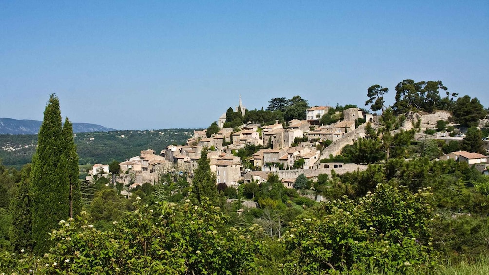 Picture 3 for Activity Luberon: Goult Vineyard Bike Tour