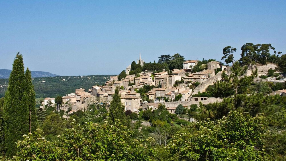 Picture 3 for Activity Luberon: Goult Vineyard Bike Tour