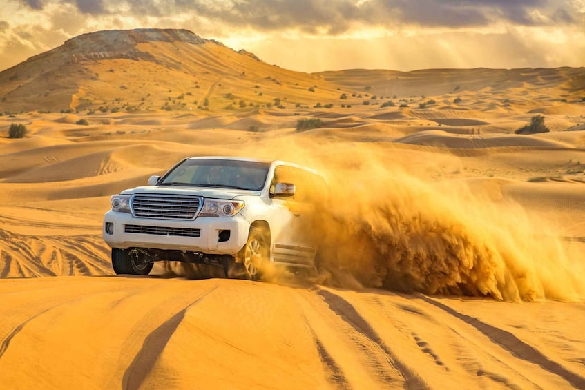 Picture 4 for Activity Inland Sea Desert Safari With Camel Ride and Dune Bashing