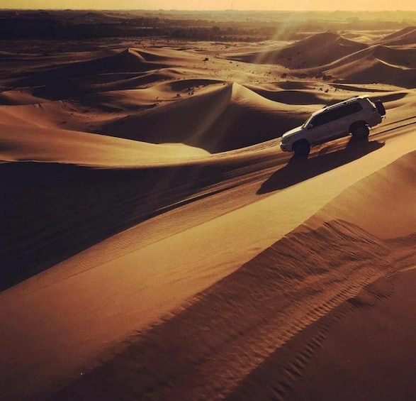 Picture 19 for Activity Inland Sea Desert Safari With Camel Ride and Dune Bashing
