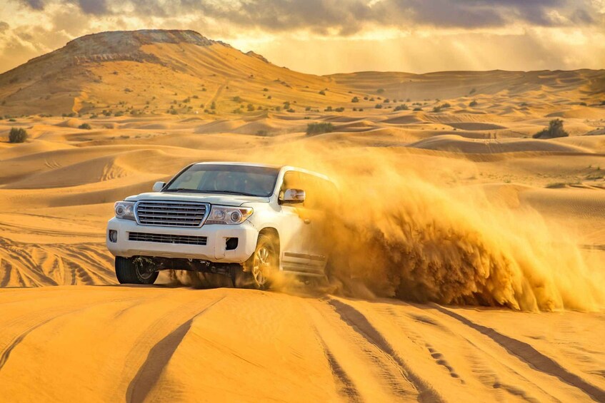 Inland Sea Desert Safari With Camel Ride and Dune Bashing