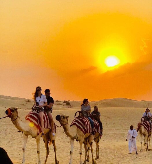 Picture 22 for Activity Relax Inland Sea Tour, Desert Safari, Camel Ride, SandBoard