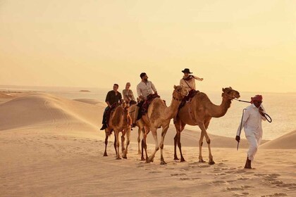 Inland Sea Desert Safari With Camel Ride and Dune Bashing