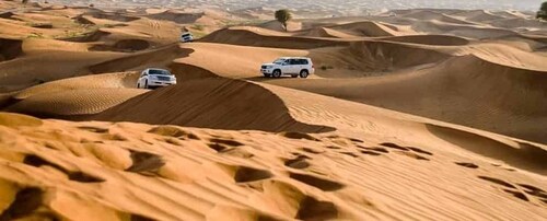 Inland Sea Desert Safari With Camel Ride and Dune Bashing