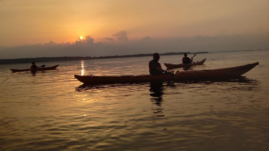 Roskilde: Guided kayaking on Roskilde Fjord: Sunset tour