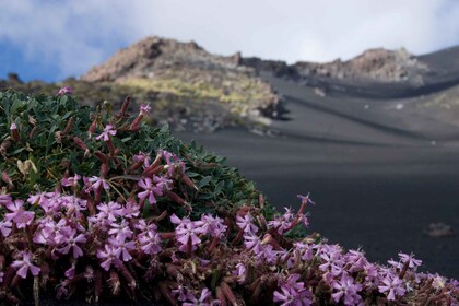 Catania: Etna Morning or Sunset Trek with Lava Tunnel & Gear