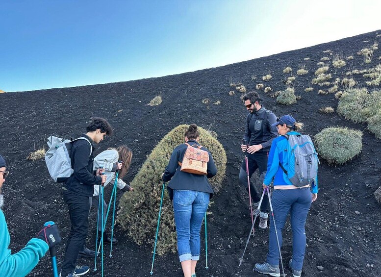 Picture 6 for Activity Catania: Etna Morning or Sunset Trek with Lava Tunnel & Gear