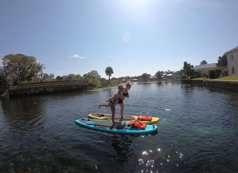 Picture 11 for Activity Crystal River: Paddle Board Rental