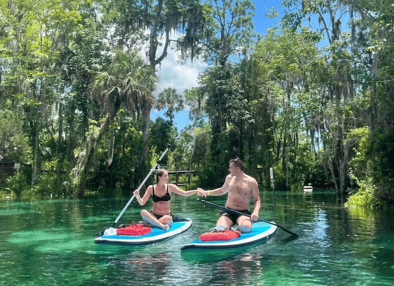 Picture 1 for Activity Crystal River: Paddle Board Rental