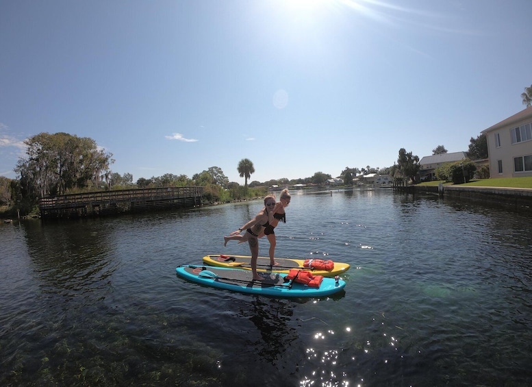 Picture 11 for Activity Crystal River: Paddle Board Rental