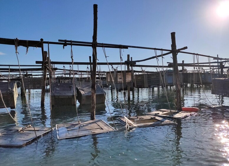 Picture 3 for Activity Chioggia: discover aquaculture techniques in a typical boat