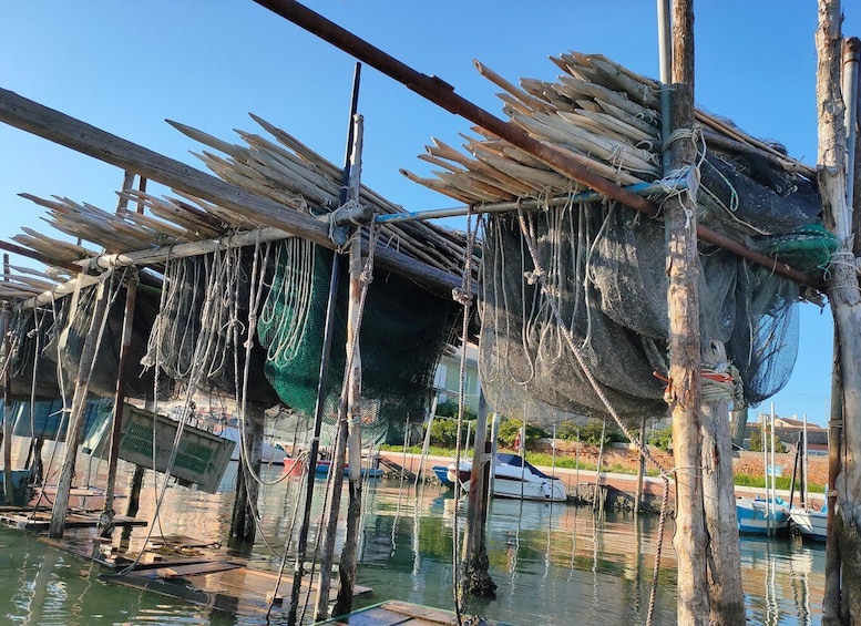 Picture 7 for Activity Chioggia: discover aquaculture techniques in a typical boat