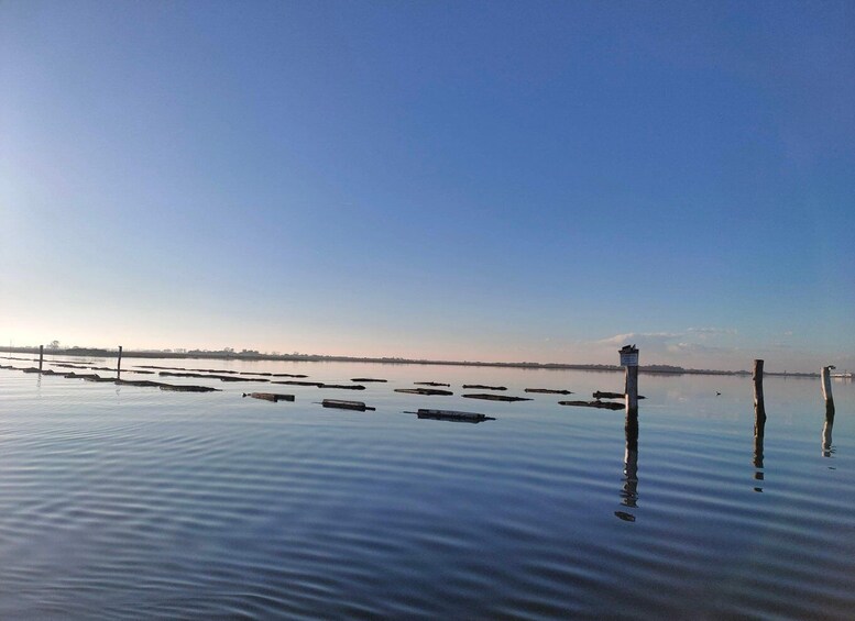 Picture 8 for Activity Chioggia: discover aquaculture techniques in a typical boat