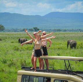 friendly safari tour