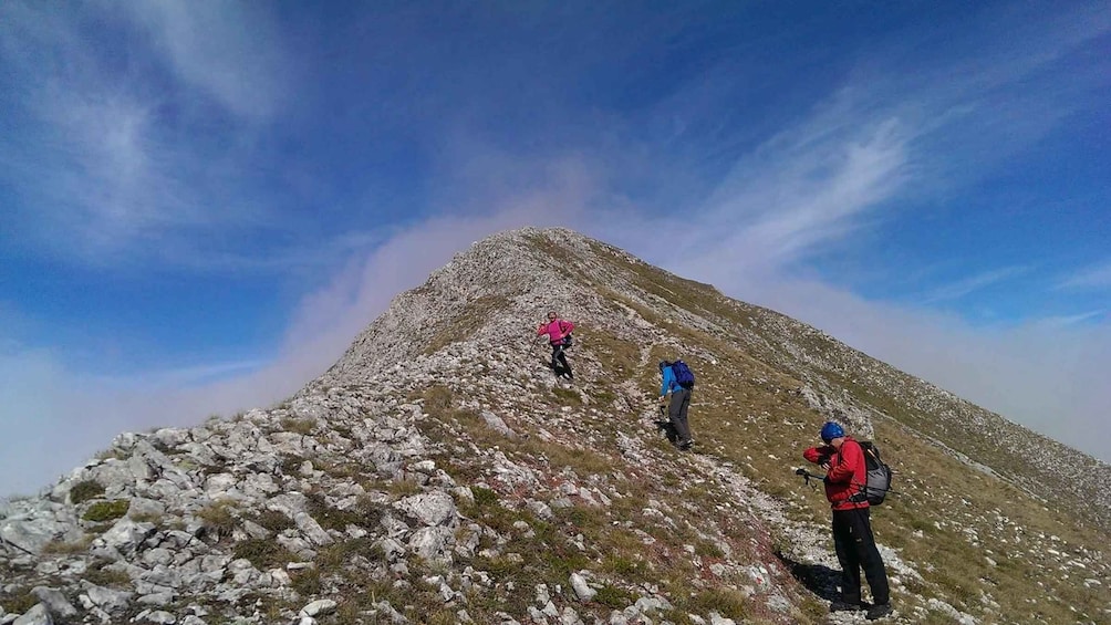 Picture 32 for Activity From Skopje: Ljuboten (The peak of Love) Hike on Shar Mount.