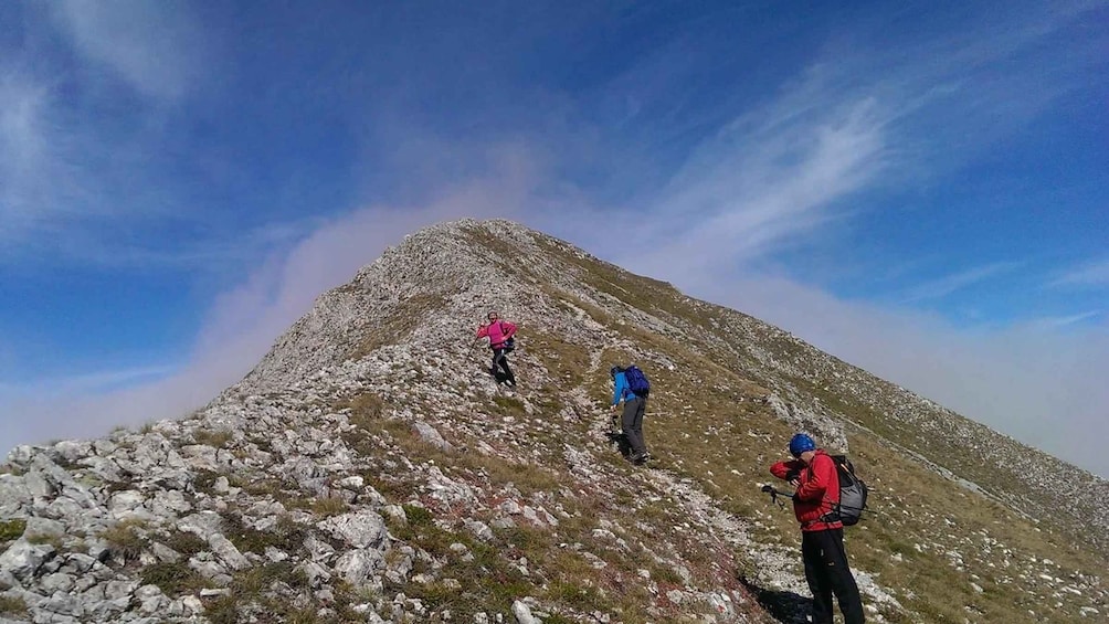 Picture 32 for Activity From Skopje: Ljuboten (The peak of Love) Hike on Shar Mount.