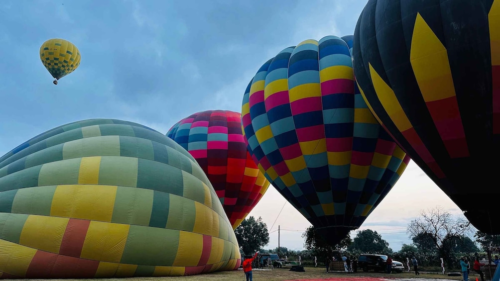 Picture 2 for Activity from MexicoCity:Balloon flight Over thepyramidsofTeotihuacan