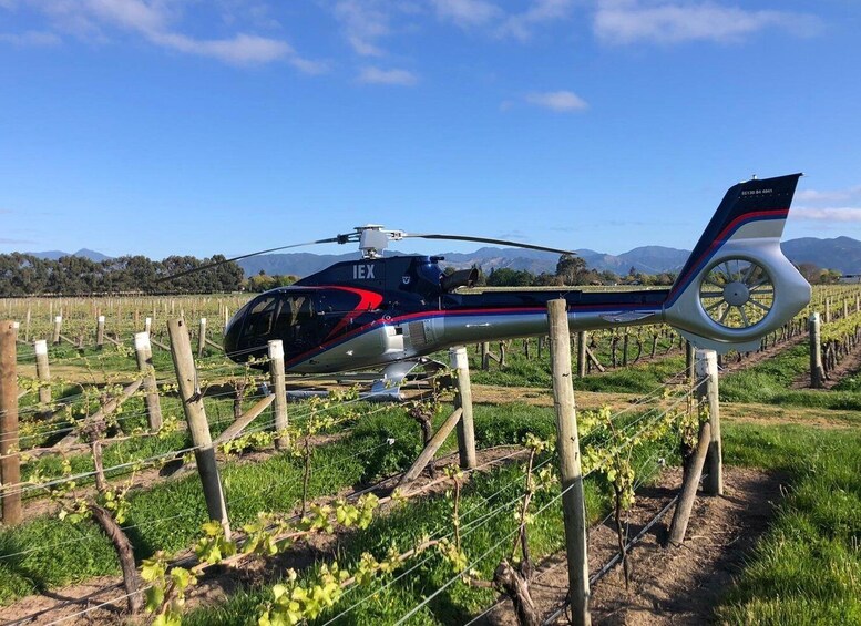 Picture 2 for Activity Christchurch: Canterbury Winery Heli Lunch