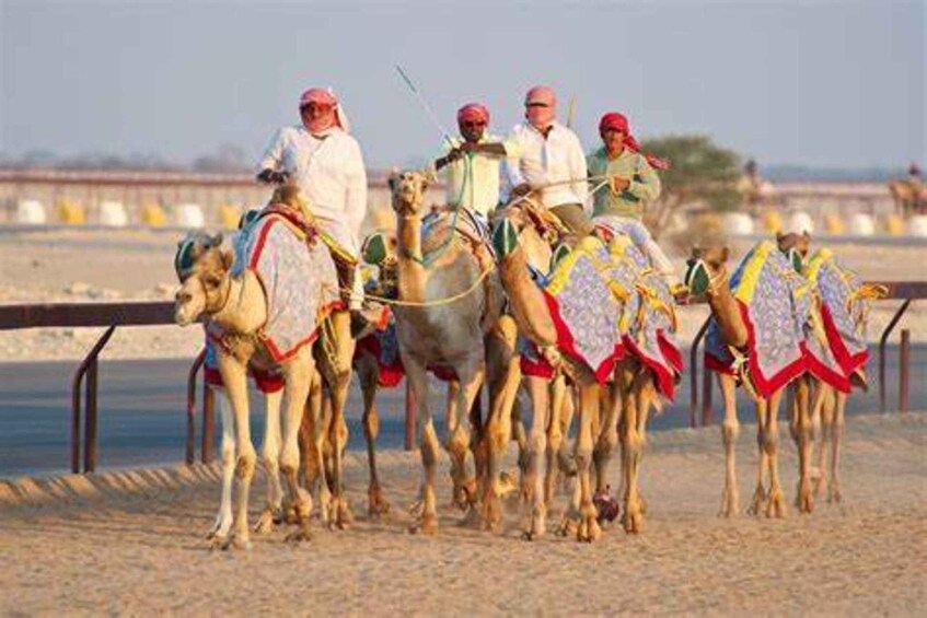 Picture 3 for Activity West Qatar-Doha Richard sierra,camel race,mushroom rock