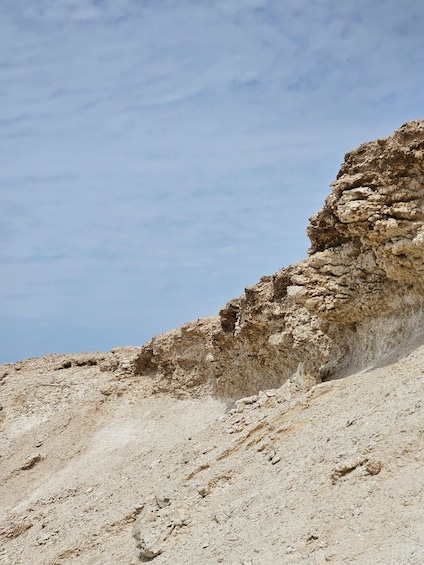 Picture 5 for Activity West Qatar-Doha Richard sierra,camel race,mushroom rock