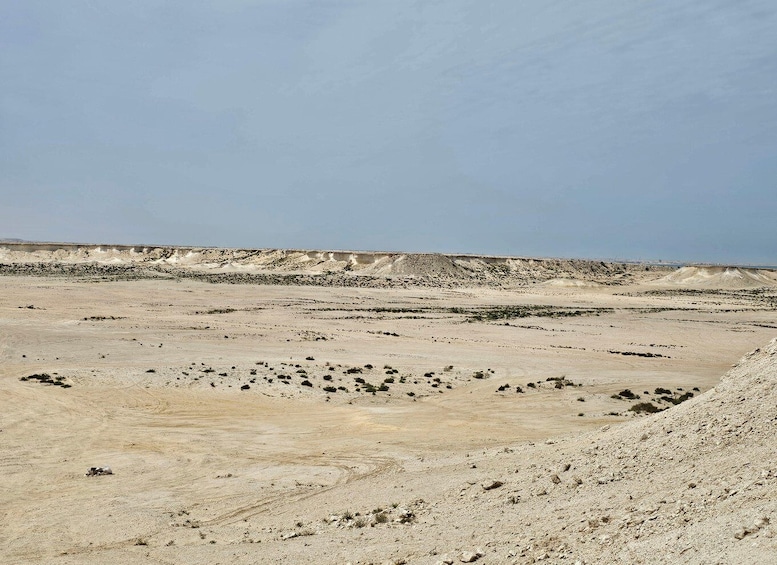 Picture 7 for Activity West Qatar-Doha Richard sierra,camel race,mushroom rock