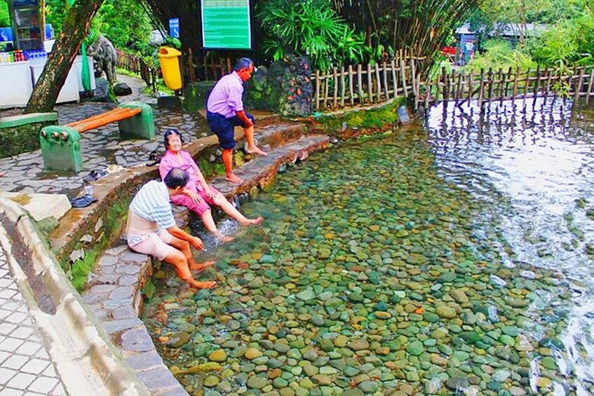 Picture 17 for Activity From Jakarta : Volcano, Tea & Rice Fields, Hot Spring