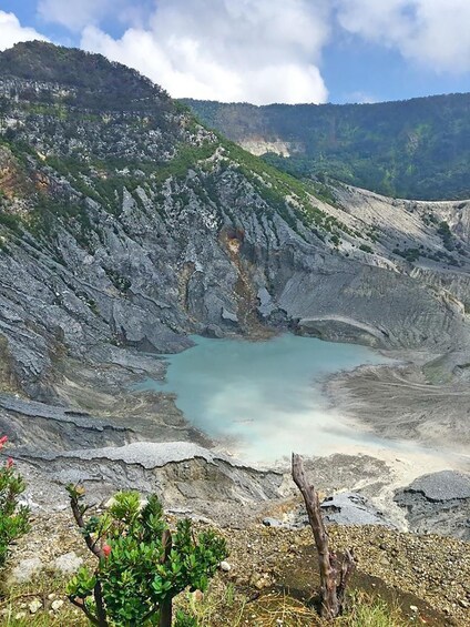 Picture 19 for Activity From Jakarta : Volcano, Tea & Rice Fields, Hot Spring