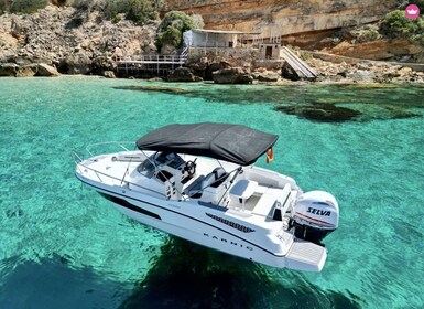 Polignano a Mare Private Tour zu den Höhlen brandneues Boot