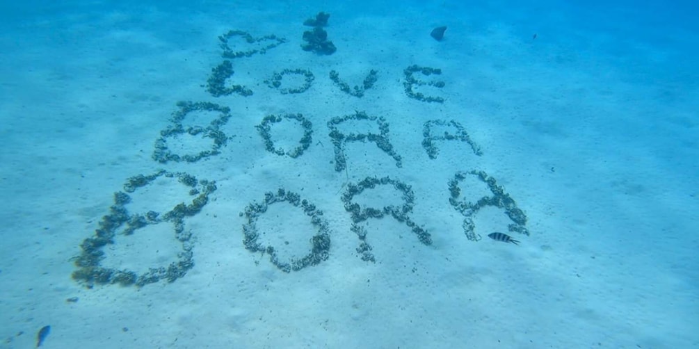 Bora Bora: Private 1/2 day lagoon safari tour