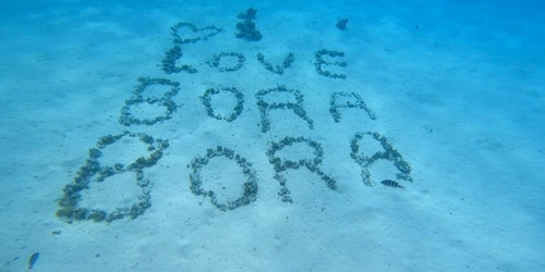 Bora Bora: Private 1/2 day lagoon safari tour